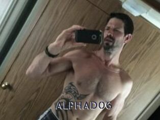 ALPHADOG