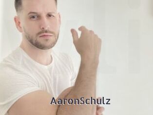 AaronSchulz