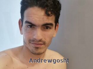 Andrewgosht