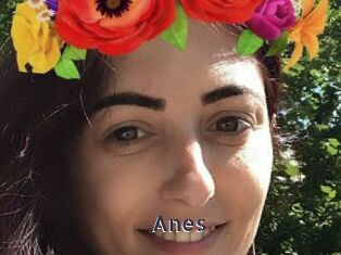 Anes