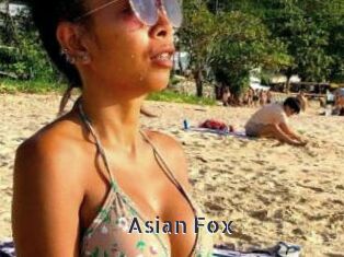 Asian_Fox