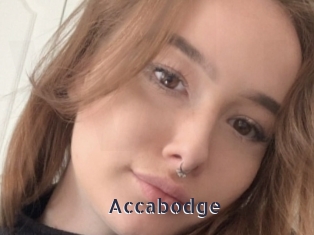 Accabodge