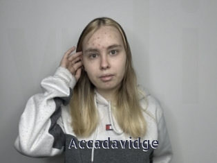 Accadavidge