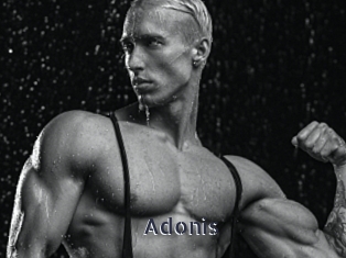 Adonis