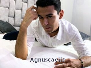 Agnuscaelie