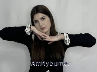 Amityburner