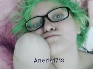 Aneris1718