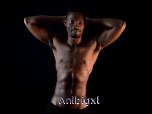 Anibigxl