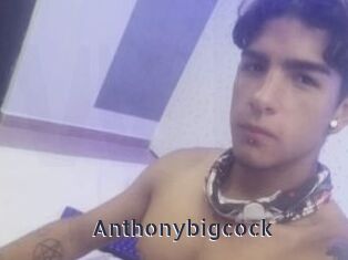 Anthonybigcock