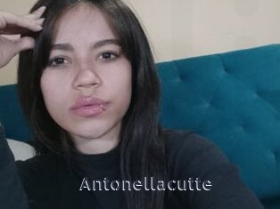 Antonellacutte