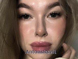 Antoniabasil