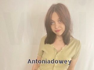 Antoniadowey