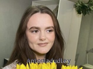 Antoniadudley