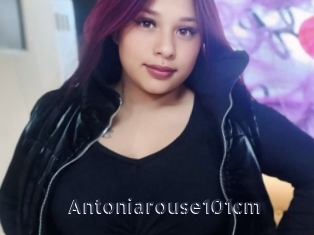 Antoniarouse101cm