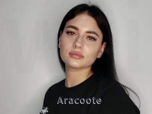 Aracoote