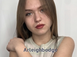 Arleighbodge