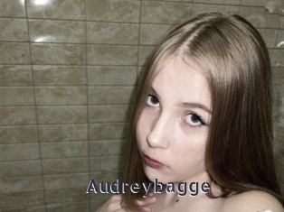 Audreybagge