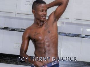 BOY_HORNY_BIGCOCK