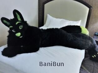 BaniBun