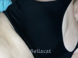 Bellacat