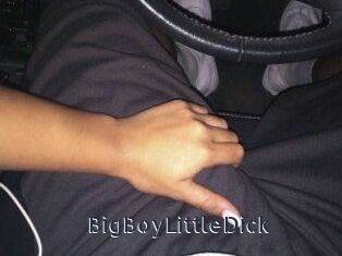 BigBoyLittleDick