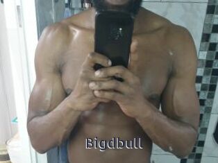 Bigdbull