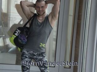 BjornVanderStein