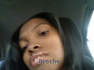 Breche