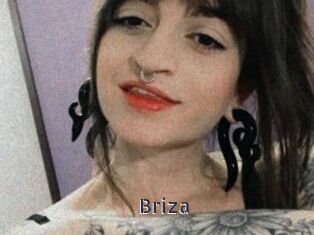 Briza