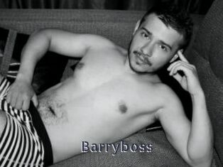 Barryboss