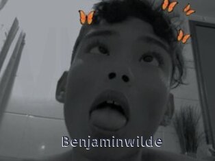 Benjaminwilde