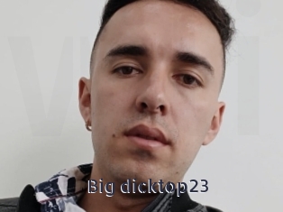 Big_dicktop23