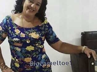 Bigcameltoe1