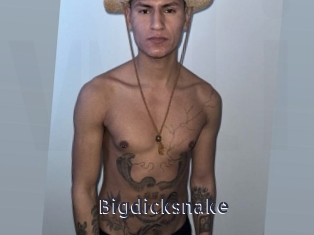 Bigdicksnake