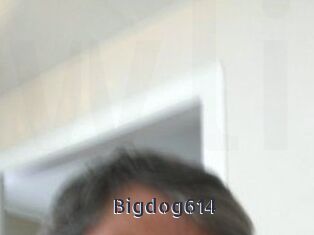 Bigdog614