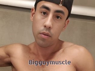 Bigguymuscle