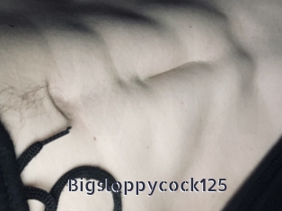 Bigsloppycock125