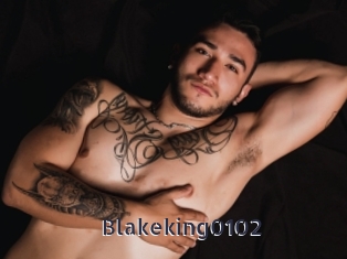 Blakeking0102