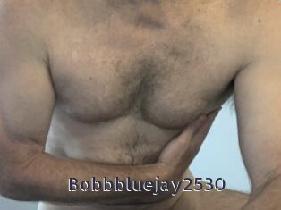 Bobbbluejay2530