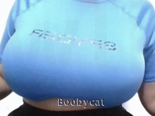 Boobycat