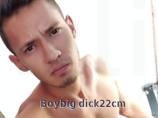 Boybig_dick22cm