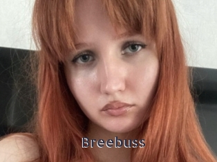 Breebuss