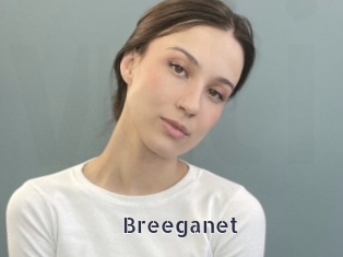 Breeganet