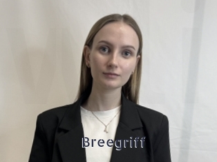 Breegriff