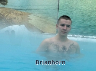 Brianhorn