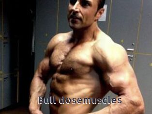 Bull_dosemuscles