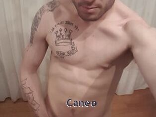 Caneo