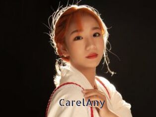 CarelAny