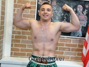 CarlitoBoxer