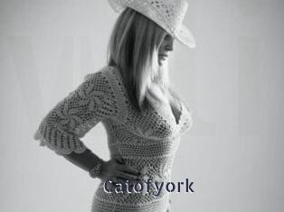 Catofyork